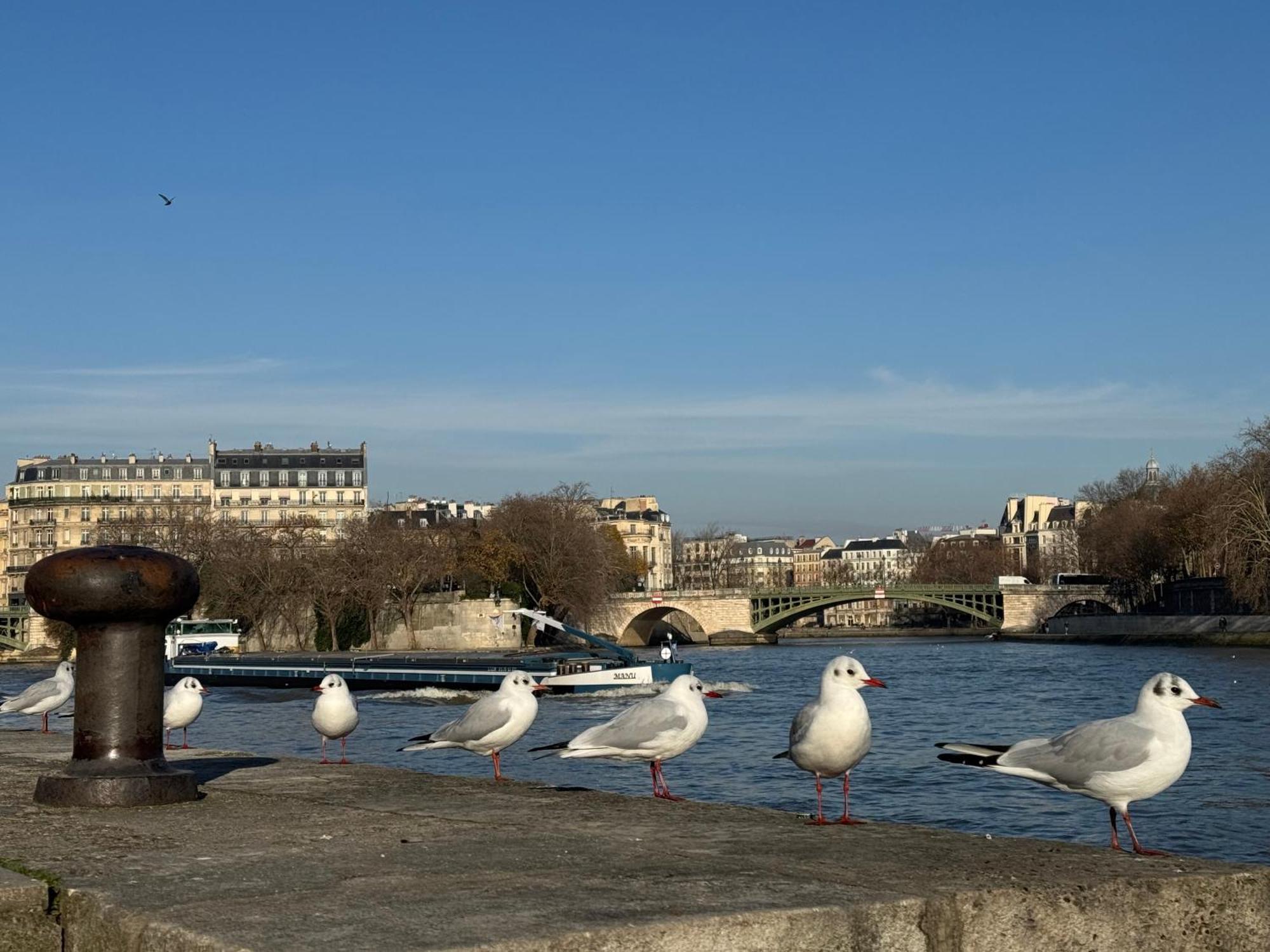New Private Apartment Paris City Center - Les Arenes Pantheon Notre-Dame Jussieu Jardin Des Plantes Quai De Seine Dış mekan fotoğraf